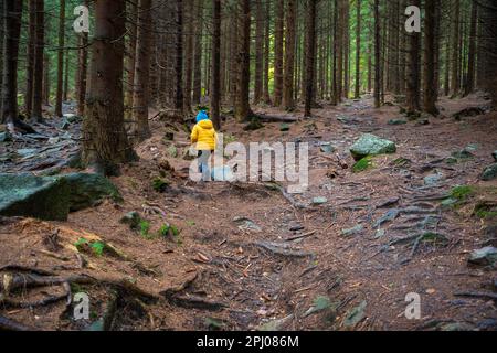 Un enfant heureux court sur un sentier de montagne. Montagnes polonaises Banque D'Images