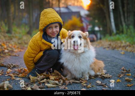 Le petit enfant et son chien Corgi passent du temps ensemble au lever du soleil. Saison d'automne, Pologne, Europe Banque D'Images