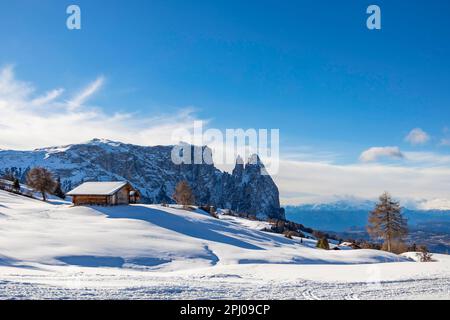 Domaine skiable Alpe di Siusi en hiver, Mont Sciliar, Ortisei, Val Gardena, Italie Banque D'Images