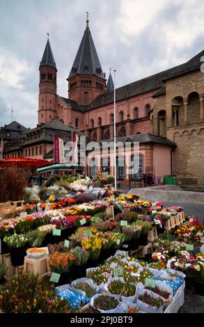 La haute cathédrale de Mayence, la fleur, le marché, le marché hebdomadaire, Mayence, Rhénanie-Palatinat, Allemagne Banque D'Images