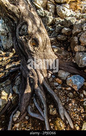 Monastère de Tsambika, site de pèlerinage pour les souhaits des enfants, Rhodes, Grèce Banque D'Images