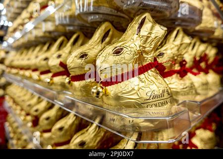 Nombreux lapins de Pâques au chocolat, lapins au chocolat, lapins d'or Lindt, palette dans un supermarché, centre commercial, Allemagne Banque D'Images