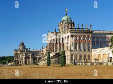 Université de Potsdam, Campus Neues Palais, Parc Sanssouci, Potsdam, Brandebourg, Allemagne Banque D'Images