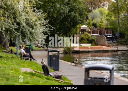 Staines upon Thames, Londres, Angleterre, Royaume-Uni - Photographie locale Banque D'Images