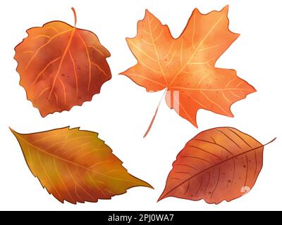 Ensemble de feuilles d'automne aquarelle isolées sur fond blanc. Illustration aquarelle peinte à la main Banque D'Images