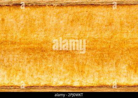 Vue de dessus texture de gros plan de la vieille gousse d'arbre vide et sèche interne comme arrière-plan, format horizontal. Banque D'Images