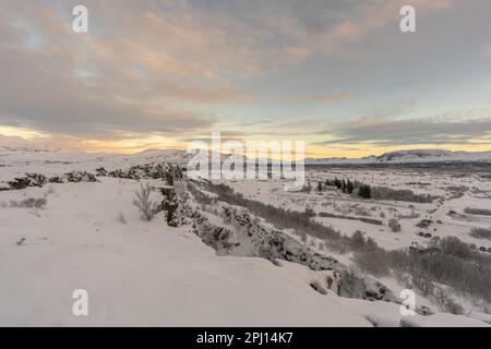 Parc national de Thingvellir plaques tectoniques eurasiennes et américaines avec ciel blanc et violet. Paysage d'hiver islandais totalement enneigé Banque D'Images