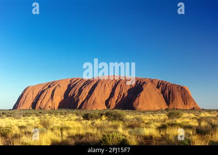 Touffes d'HERBE SPINIFEX AYERS ROCK ULURU-Kata Tjuta National Park AUSTRALIE TERRITOIRE DU NORD Banque D'Images