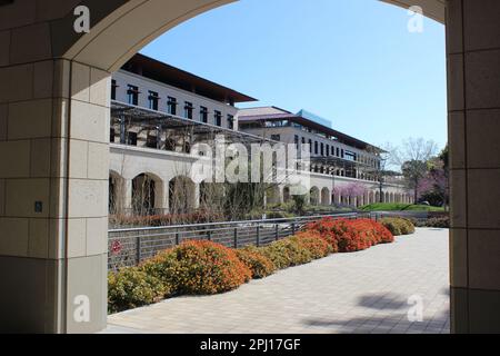 Shriram Center & Spilker Building, SEQ, Stanford University, Californie Banque D'Images