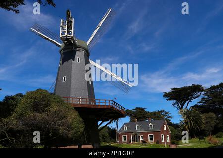 Le Murphy Windmill est un moulin à vent en fonctionnement dans le Golden Gate Park, San Francisco, Californie, États-Unis. Il a été achevé en 1908, Banque D'Images