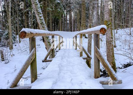 Pont en bois recouvert de neige au-dessus d'une petite rivière Banque D'Images