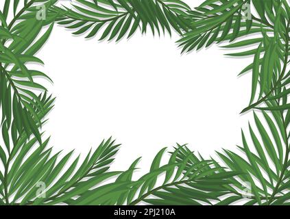 Modèle horizontal avec bordures décorées de branches de palmier vertes dans un style de dessin animé. Illustration de Vecteur