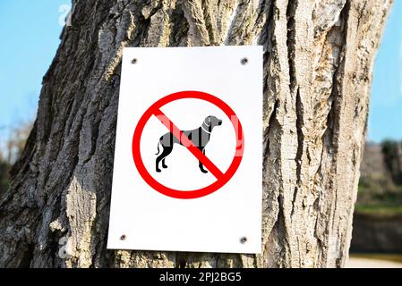 Ne pas laisser de CHIENS sur le tronc des arbres à l'extérieur Banque D'Images