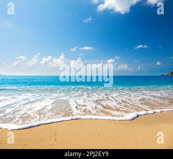 Magnifique mer tropicale et plage de sable Banque D'Images