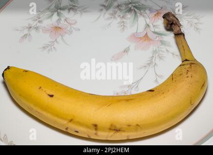 Les bananes sont un fruit comestible allongé - botaniquement une baie. Bananes riches en potassium biologique ! Banque D'Images