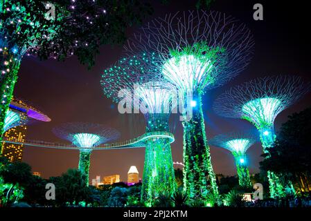 Ville de Singapour, Singapour - 12 avril 2019 : spectacle de lumière de la forêt de Supertree dans les jardins au bord de la baie Banque D'Images