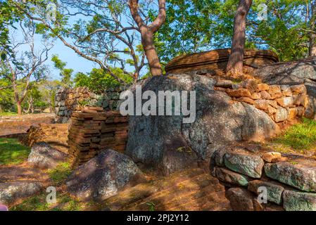 Sigiriya, Sri Lanka, 5 février 2022: Jardins de la forteresse de Sigiriya au Sri Lanka. Banque D'Images