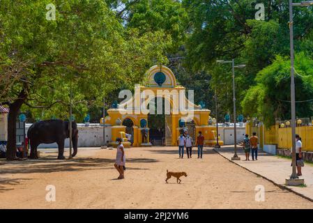 Kataragama, Sri Lanka, 27 janvier 2022: Kataragama représente un important lieu de pèlerinage au Sri Lanka important pour les bouddhistes, les hindous, les musulmans et les Ved Banque D'Images