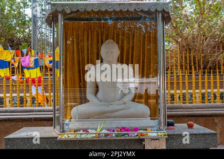 Kataragama, Sri Lanka, 27 janvier 2022: Kataragama représente un important lieu de pèlerinage au Sri Lanka important pour les bouddhistes, les hindous, les musulmans et les Ved Banque D'Images