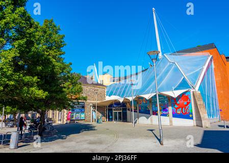 Bristol, Angleterre, 18 septembre 2022 : vue sur l'aquarium de Bristol en Angleterre. Banque D'Images