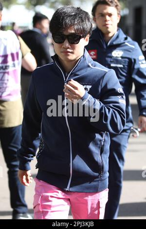 Albert Park, Melbourne, Victoria, Australie. 31st mars 2023. FIA Formula One World Championship 2023 - Formule 1 Rolex Australian Grand Prix - Yuki Tsunoda of Japan course pour la Scuderia AlphaTauri pendant le Championnat du monde de Formule 1 2023 de la FIA - image crédit: brett keating/Alay Live News Banque D'Images