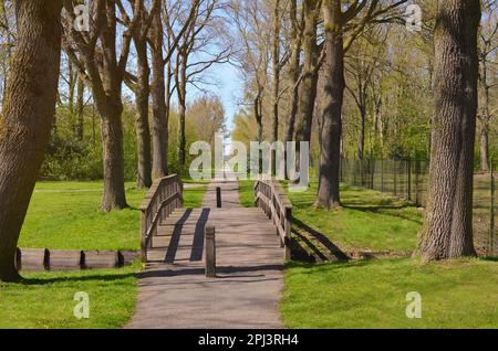 Magnifique parc avec pont en bois et arbres. Paysage de printemps pittoresque Banque D'Images