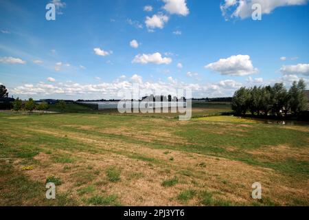 Prairie avec des animaux le long du Ringvaart du Zuidplaspolder à Nieuwerkerk Noord aux pays-Bas Banque D'Images