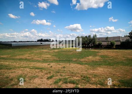 Prairie avec des animaux le long du Ringvaart du Zuidplaspolder à Nieuwerkerk Noord aux pays-Bas Banque D'Images