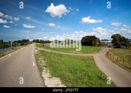 Prairie avec des animaux le long du Ringvaart du Zuidplaspolder à Nieuwerkerk Noord aux pays-Bas Banque D'Images