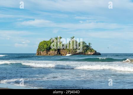 Plage pittoresque de Cocles sur la côte des Caraïbes du Costa Rica, Puerto Viejo de Talamanca Banque D'Images