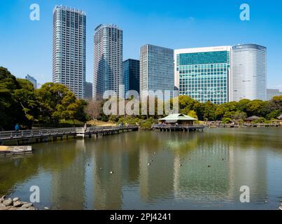 Vue sur les jardins Hama Rikyu à Chuo, Tokyo, Japon Banque D'Images