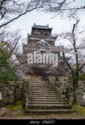 Vue extérieure du château d'Hiroshima en saison des cerisiers en fleurs, Hiroshima, Japon Banque D'Images