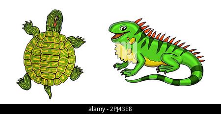 Illustration de l'iguane et de la tortue mignonne. Illustration isolée avec animaux drôles et heureux. Page de coloriage pour enfants. Banque D'Images