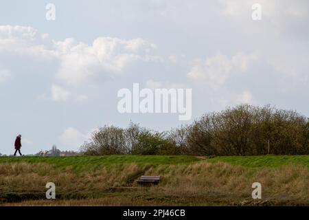 Femme marchant un chien le long d'un remblai sur le côté de la rivière Deben près de Woodbridge Suffolk Banque D'Images