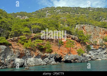 Turquie, Antalya, Lycia: La petite plage, l'eau turquoise et les falaises vives de la baie d'Asikoy qui possède une vie sous-marine riche. Banque D'Images