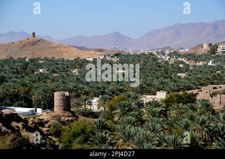 Oman, Birkat al Mawz : tours de surveillance dépassant de la mer des palmiers dattiers. Banque D'Images
