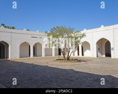 Oman, Taqah : cour du Musée de la terre d'encens, avec un arbre (Boswellia sacra) au centre. Banque D'Images