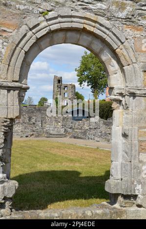 Irlande, Louth, Drogheda : ruines de l'ancienne abbaye de Mellifont, la première abbaye cistercienne du pays, fondée en 1152, fermée après la dissolution en Banque D'Images