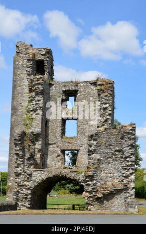 Irlande, Louth, Drogheda : ruines de l'ancienne abbaye de Mellifont, la première abbaye cistercienne du pays, fondée en 1152, fermée après la dissolution en Banque D'Images