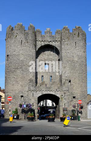 Irlande, Louth, Drogheda : ruines de l'ancienne abbaye de Mellifont, la première abbaye cistercienne du pays, fondée en 1152, fermée après la dissolution en Banque D'Images