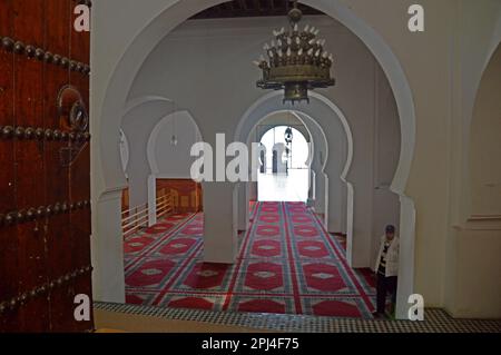 Maroc, Fès : passage à la cour intérieure de la mosquée Zaouia et du mausolée de Moulay Idriss II, fondateur de la ville, datant du 13th siècle Banque D'Images