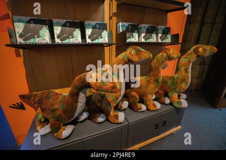 Londres Royaume-Uni 31 mars 2023. Les poupées-souvenirs du « Titanosaur » sont en vente à la boutique du musée d'Histoire naturelle : l'exposition Life as the Bigest Dinosaur est ouverte au public. Le Patagotitan, qui a été fouillé en Argentine en 2014, est considéré comme le plus grand animal terrestre à avoir jamais vécu le crédit: amer ghazzal/Alamy Live. Actualités Banque D'Images