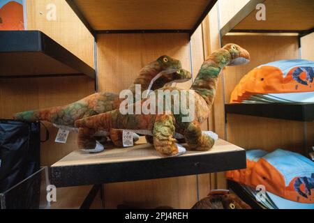 Londres Royaume-Uni 31 mars 2023. Les poupées-souvenirs du « Titanosaur » sont en vente à la boutique du musée d'Histoire naturelle : l'exposition Life as the Bigest Dinosaur est ouverte au public. Le Patagotitan, qui a été fouillé en Argentine en 2014, est considéré comme le plus grand animal terrestre à avoir jamais vécu le crédit: amer ghazzal/Alamy Live. Actualités Banque D'Images