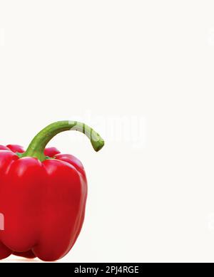 Poivron rouge sur fond blanc. Capsicum annuum. Banque D'Images