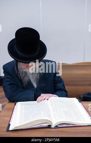 Un juif orthodoxe non identifiable avec de longs peyes étudie le Talmud. Dans une synagogue de Brooklyn, New York. Banque D'Images