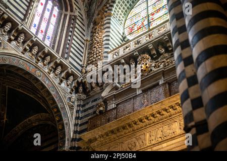 Chefs de papes dans la cathédrale de Sienne Banque D'Images