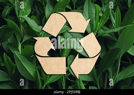 Symbole de recyclage coupé en papier kraft et feuilles vertes fraîches sur fond Banque D'Images