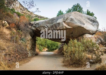 Sequoia National Park dans les montagnes de la Sierra Nevada. Banque D'Images