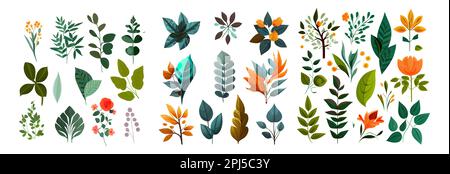 définir l'illustration vectorielle de la collection d'éléments de feuilles vertes de fleurs isolées Illustration de Vecteur