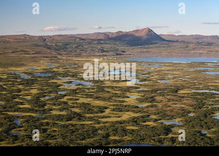 Volcans et pseudo cratères autour du lac Mývatn en Islande Banque D'Images